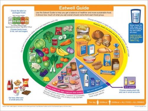 Eatwell Guide (Gov.uk 2016; NHS 2016b)