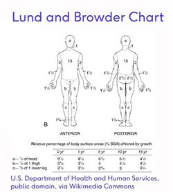 Figure 2. Lund and Browder Chart.