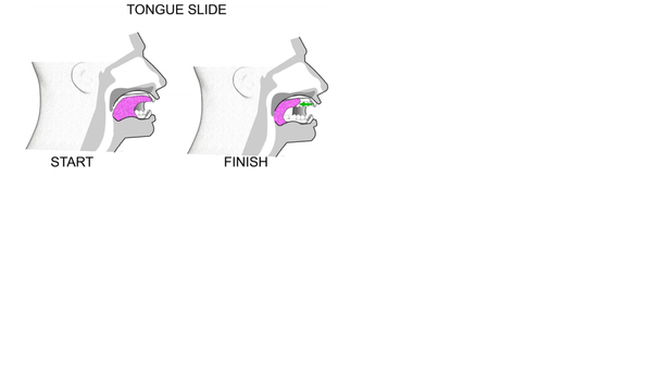Tongue exercise2.png