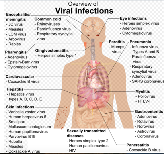 Viral Infections - Physiopedia