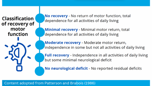 Classifications of motor function recovery.png