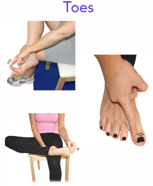 File:Stretches for toes.png