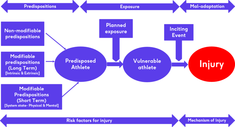 File:Injury predisposition flow diagram.png
