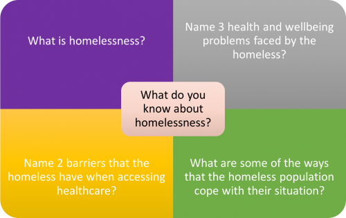What do you know about homeless?.png
