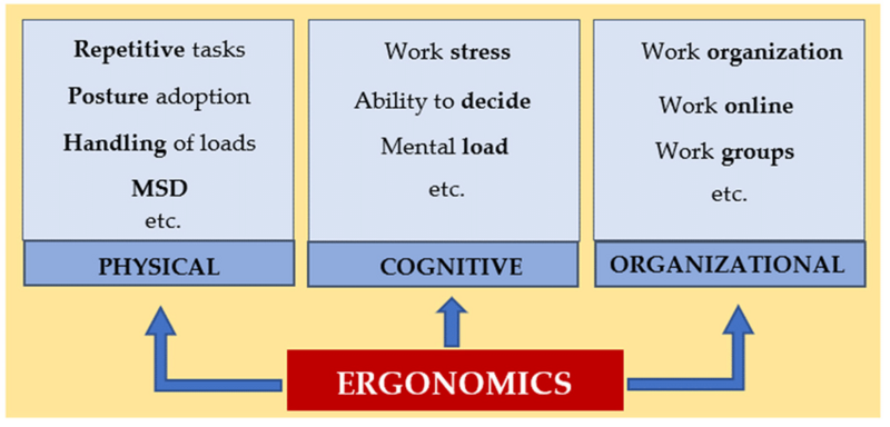 File:Types-of-ergonomics-adapted-from-6.png