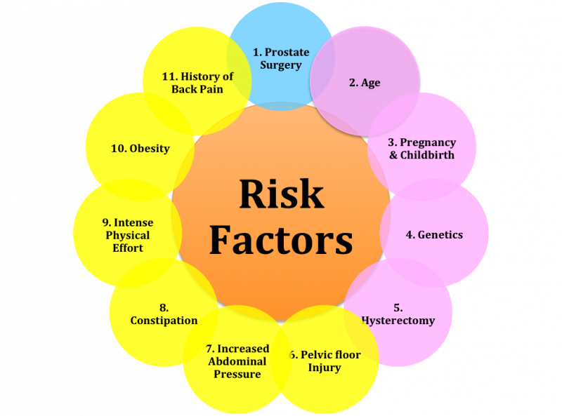File:Risk Factors Infographic.png