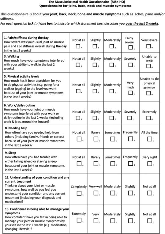 Example of the Musculoskeletal Health Questionnaire