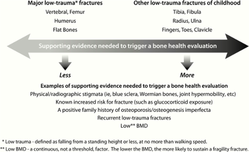 File:Example of supporting evidence needed to trigger a bone health evaluation.png