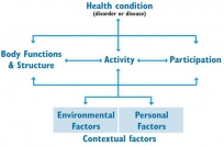 The International Classification of Function (WHO 2001)