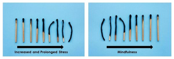 Stress vs mindfulness matches.jpg
