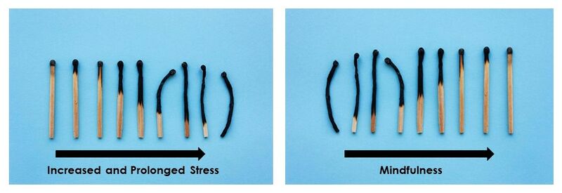 File:Stress vs mindfulness matches.jpg