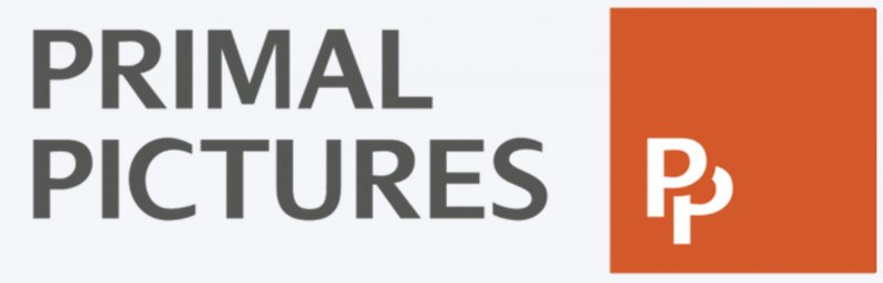 File:Primalpictures logo.png