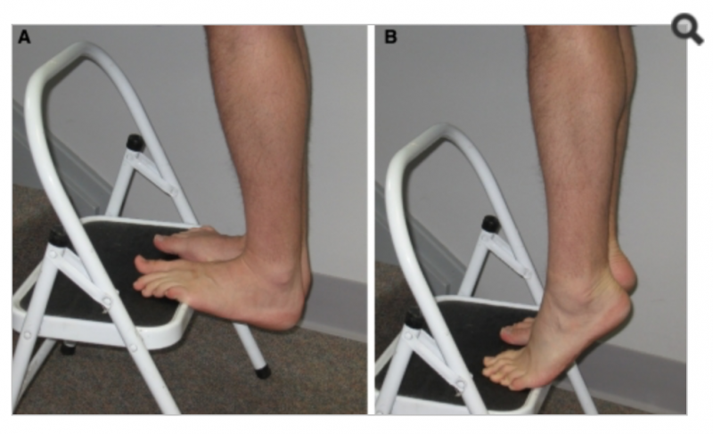 File:Calf stretches.png