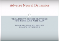 Adverse neural dynamics presentation title.png