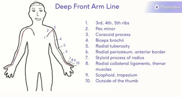 Deep Front Arm Line (2).jpg