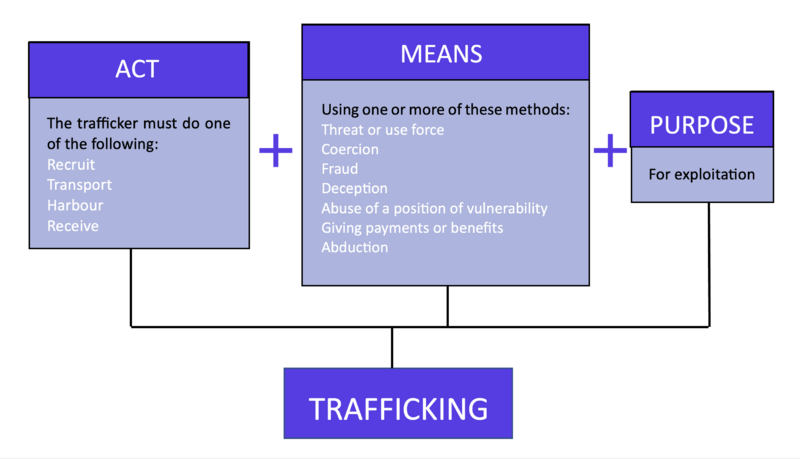 File:Human Trafficking Flowchart.png