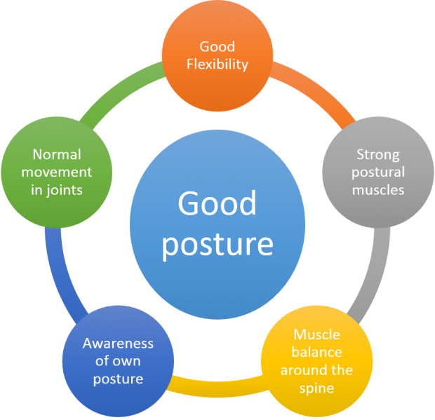 File:Good posture components.png