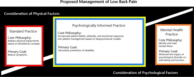 Proposed mgmt of low back pain.jpg