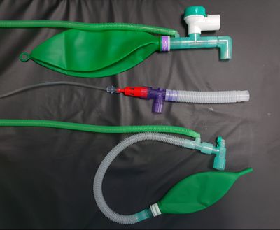 Anaesthetic breathing systems, Mapelson C E and F.jpg