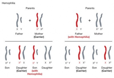 Genes.jpg