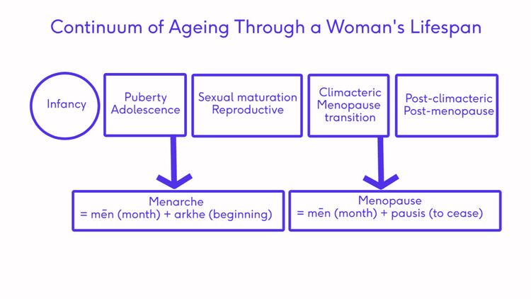Continuum of Aging Female-CreatedbyDaphneXuan.jpg