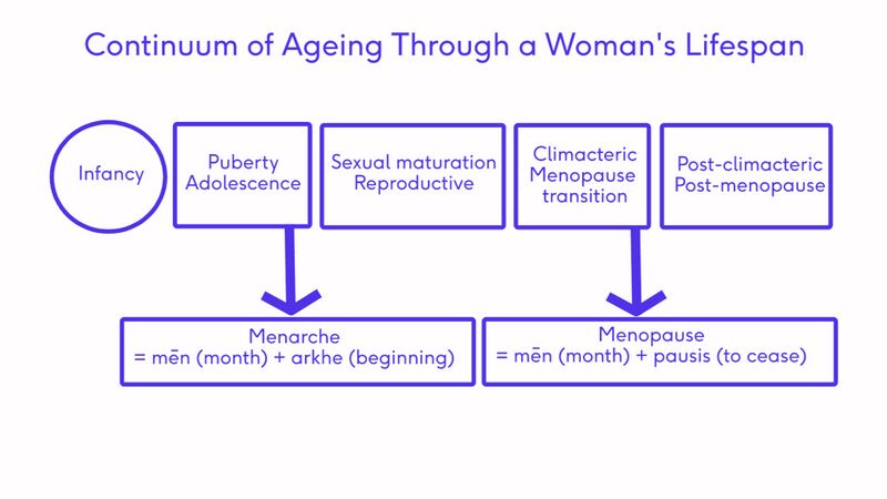 File:Continuum of Aging Female-CreatedbyDaphneXuan.jpg