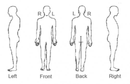 Body Chart Physio