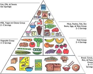 Food pyramid usda.jpg