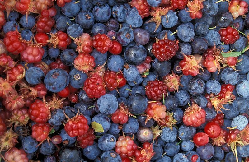 File:Alaska wild berries.jpeg