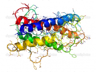 http://static9.depositphotos.com/1610517/1179/i/950/depositphotos_11797463-Human-growth-hormone-structure.jpg