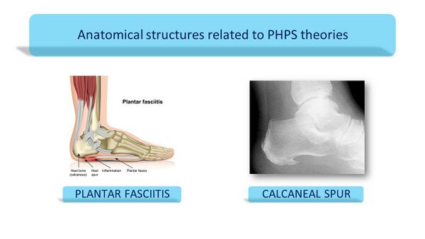 Anatomy of previous theories for PHPS.jpg