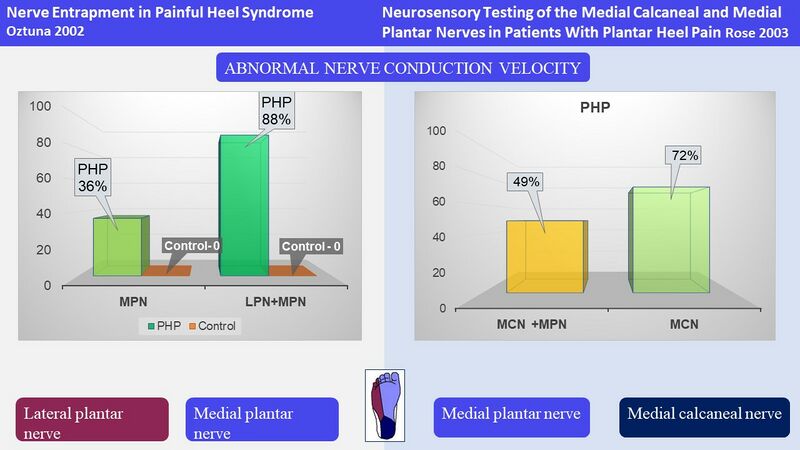 File:Results of nerve conduction studies.jpg