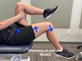 One-joint hip flexor tightness.jpg