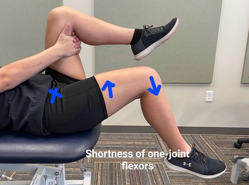 File:One-joint hip flexor tightness.jpg