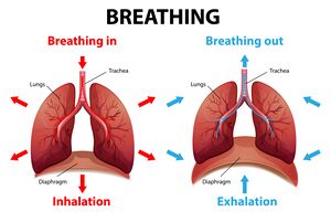 THE TIME IT TAKES TO GET LEVEL 5 BREATHING