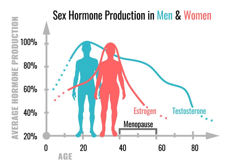 File:Sex hormone production.jpeg