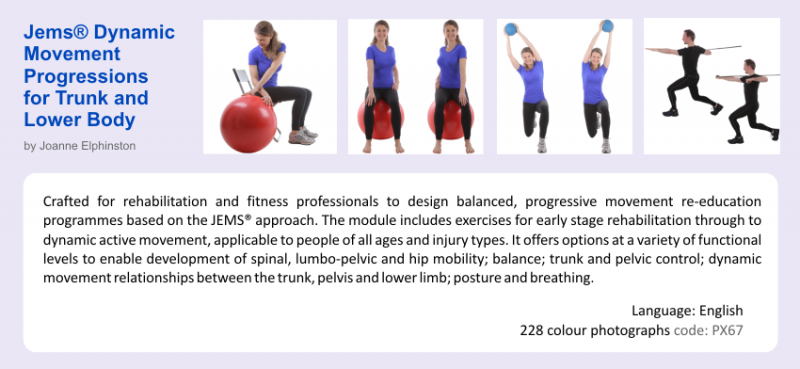 File:Jems for PhysioPedia.png