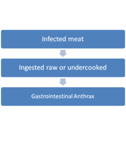 Gastrointestinal Anthrax.png