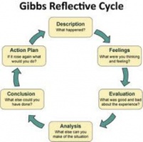 Gibbs reflective model.jpg