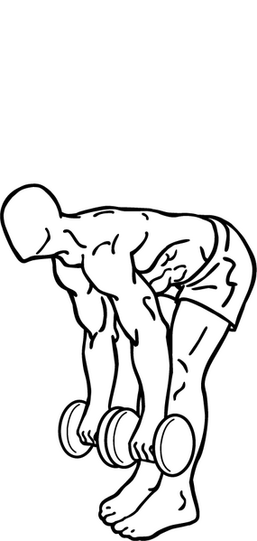 File:Dead-lifts.png