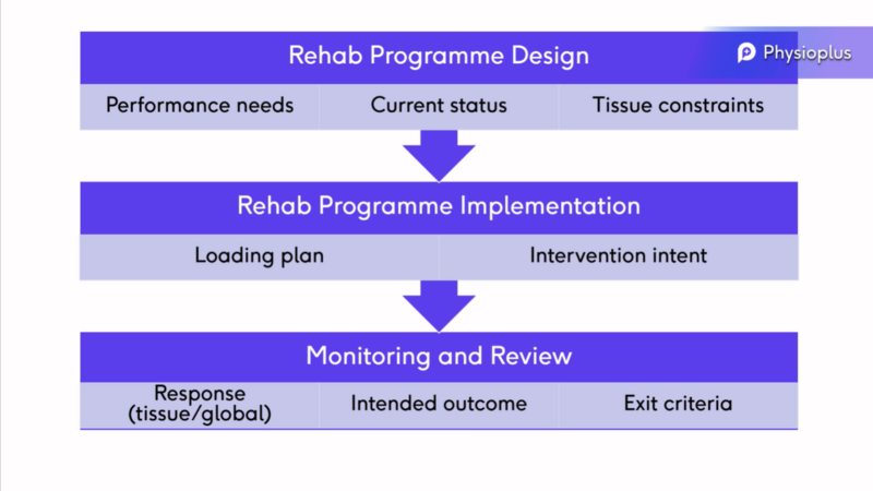 File:Rehab programme design.png