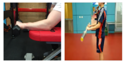 Exercise Therapy - wrist vs elbow