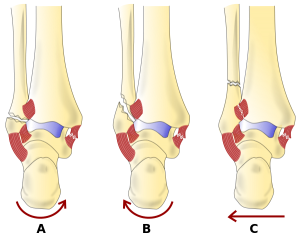 tratament articular subtalar creșteri în tratamentul articulației genunchiului