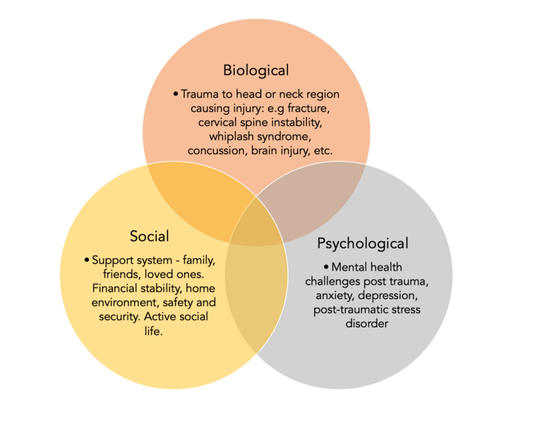 File:Biopsychsocial venn diagram.png