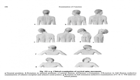 Head and Neck Movements