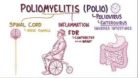 1. Poliovirus: Video, Anatomy, Definition & Function | Osmosis [Internet]. Osmosis. 2023 [cited 2023 Nov 17]. Available from: https://www.osmosis.org/learn/Poliovirus ‌