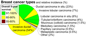 Pie chart of incidence and prognosis of histopathologic breast cancer types.png