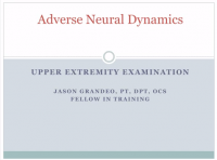 Neurodynamics - upper examination presentation title.png