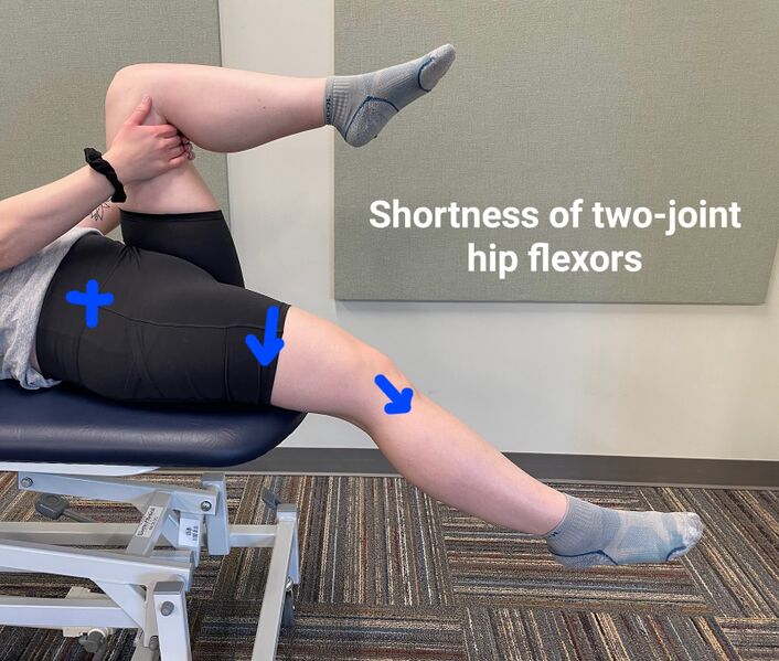 File:Two-joint hip flexor tightness.jpg