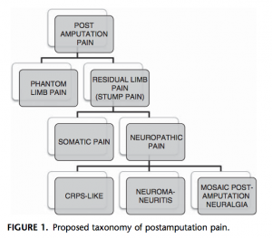 Proposed-taxonomy-postamputation-pain.png